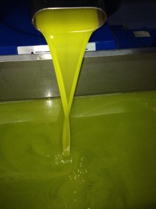 olio