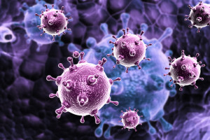 virus_10_2_66641_36421_62301