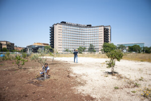 ortigarbatel