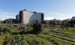 ortigarbatella