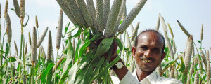 coltura-india-800x321