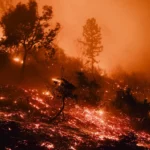 Los Angeles brucia. E' stato di emergenza: trentamila persone in fuga su strade bloccate. “Ma il peg...